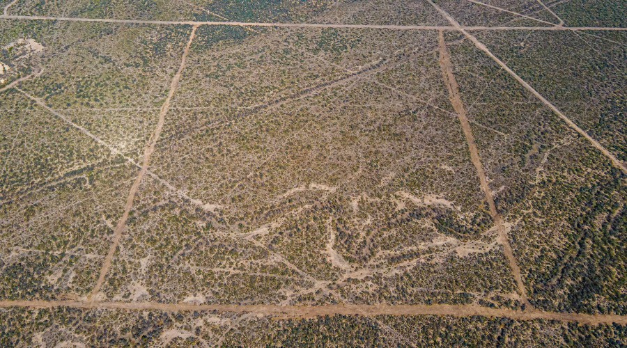 Parcel 3 ABST 209 J V Borrego, Zapata, Texas 00000, ,Land,For Sale,Parcel 3 ABST 209 J V Borrego,20261541