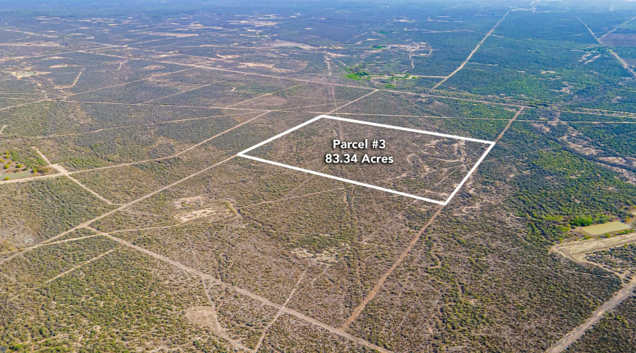 Parcel 3 ABST 209 J V Borrego, Zapata, Texas 00000, ,Land,For Sale,Parcel 3 ABST 209 J V Borrego,20261541