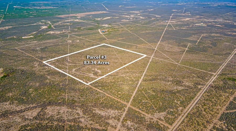 Parcel 3 ABST 209 J V Borrego, Zapata, Texas 00000, ,Land,For Sale,Parcel 3 ABST 209 J V Borrego,20261541