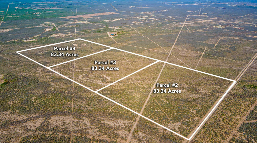 Parcel 3 ABST 209 J V Borrego, Zapata, Texas 00000, ,Land,For Sale,Parcel 3 ABST 209 J V Borrego,20261541