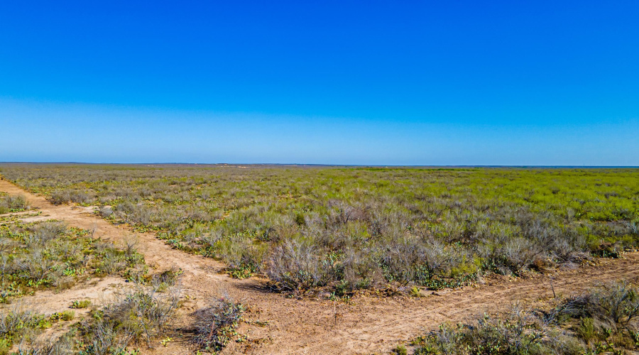 Parcel 3 ABST 209 J V Borrego, Zapata, Texas 00000, ,Land,For Sale,Parcel 3 ABST 209 J V Borrego,20261541