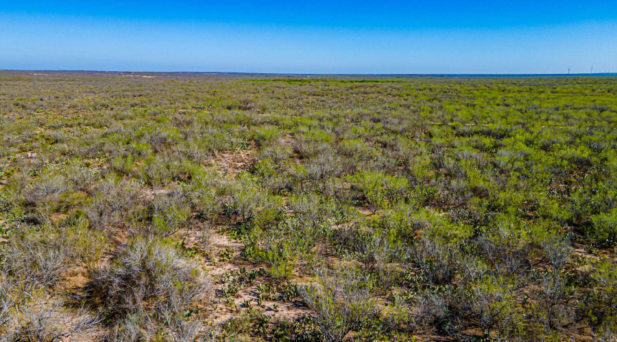 Parcel 4 ABST 209 J V Borrego, Zapata, Texas 00000, ,Land,For Sale,Parcel 4 ABST 209 J V Borrego,20261542