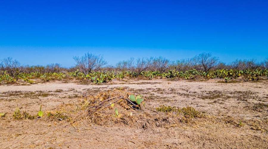 Parcel 4 ABST 209 J V Borrego, Zapata, Texas 00000, ,Land,For Sale,Parcel 4 ABST 209 J V Borrego,20261542