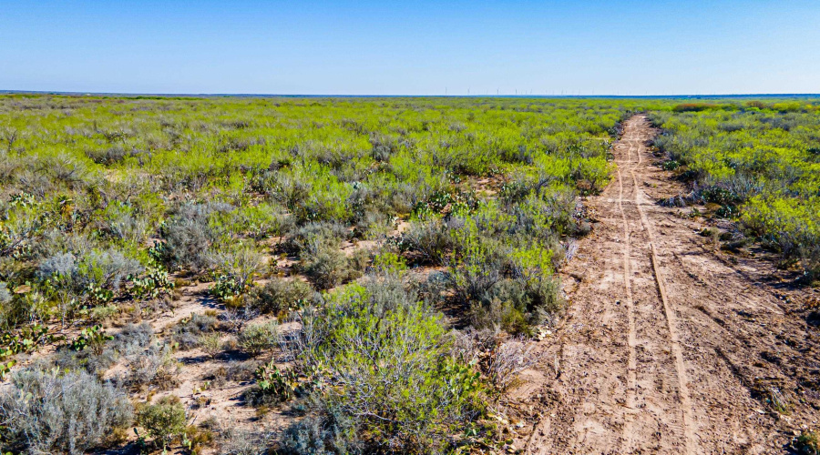 Parcel 4 ABST 209 J V Borrego, Zapata, Texas 00000, ,Land,For Sale,Parcel 4 ABST 209 J V Borrego,20261542