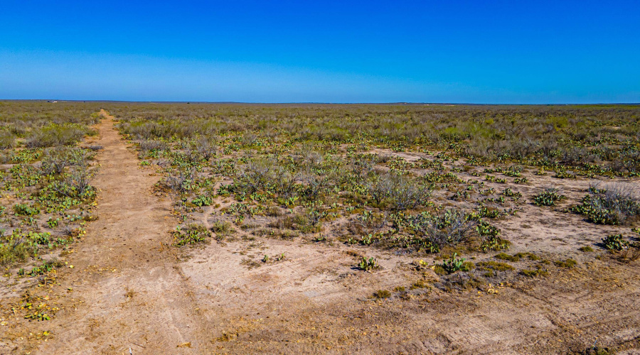 Parcel 4 ABST 209 J V Borrego, Zapata, Texas 00000, ,Land,For Sale,Parcel 4 ABST 209 J V Borrego,20261542