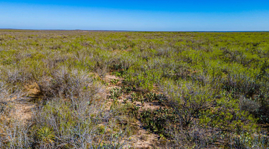 Parcel 4 ABST 209 J V Borrego, Zapata, Texas 00000, ,Land,For Sale,Parcel 4 ABST 209 J V Borrego,20261542