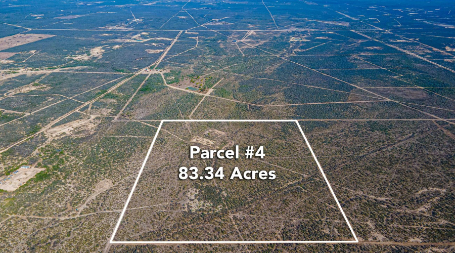 Parcel 4 ABST 209 J V Borrego, Zapata, Texas 00000, ,Land,For Sale,Parcel 4 ABST 209 J V Borrego,20261542