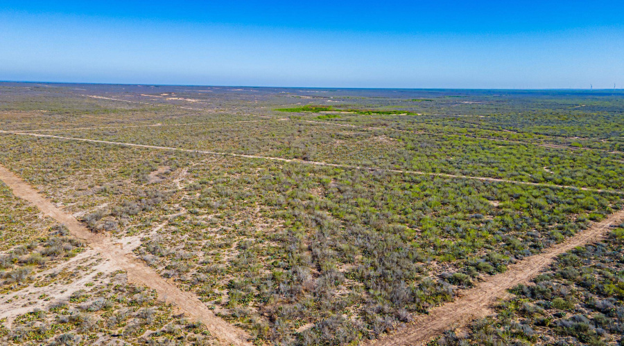 Parcel 4 ABST 209 J V Borrego, Zapata, Texas 00000, ,Land,For Sale,Parcel 4 ABST 209 J V Borrego,20261542