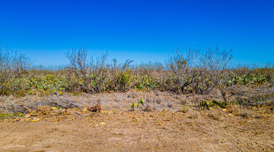 Parcel 4 ABST 209 J V Borrego, Zapata, Texas 00000, ,Land,For Sale,Parcel 4 ABST 209 J V Borrego,20261542