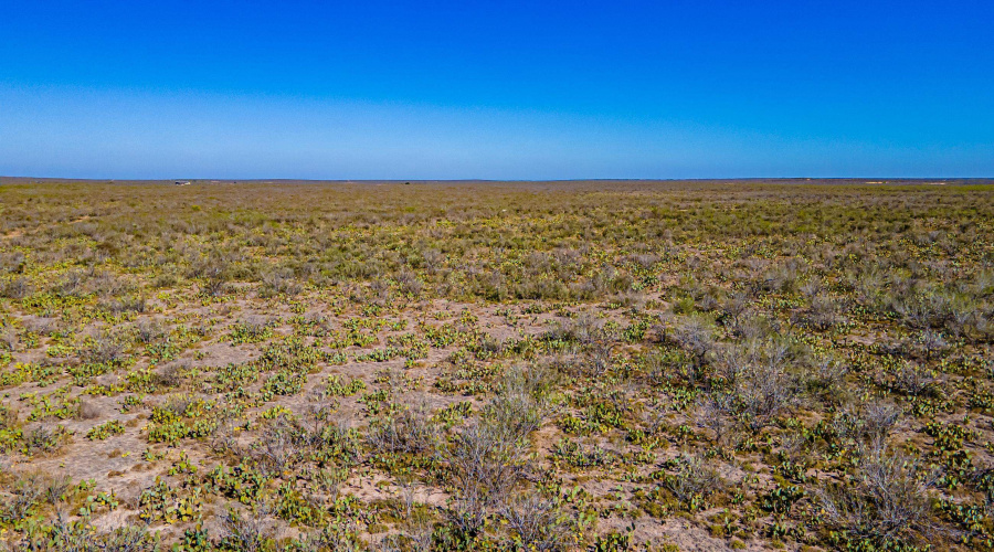 Parcel 4 ABST 209 J V Borrego, Zapata, Texas 00000, ,Land,For Sale,Parcel 4 ABST 209 J V Borrego,20261542