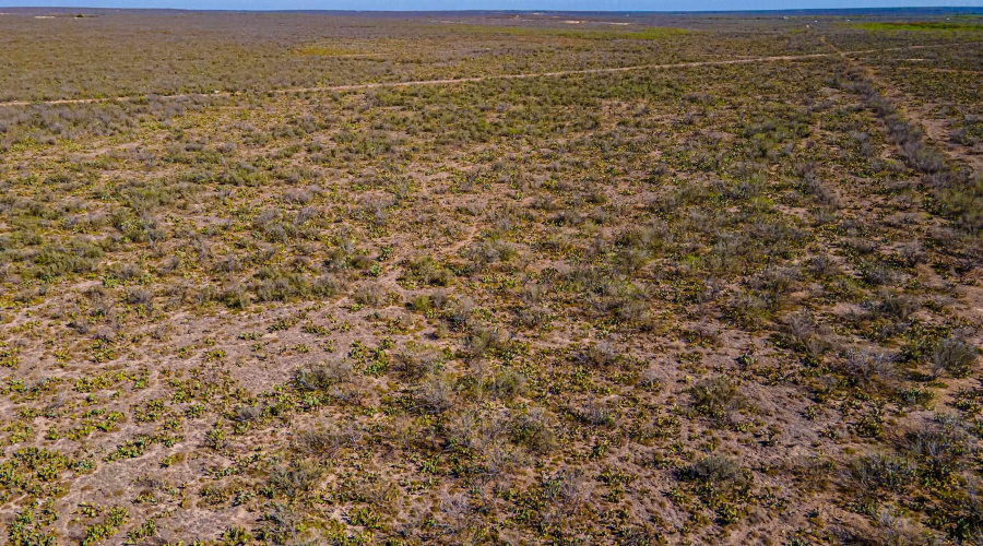 Parcel 4 ABST 209 J V Borrego, Zapata, Texas 00000, ,Land,For Sale,Parcel 4 ABST 209 J V Borrego,20261542