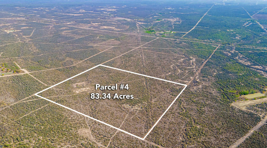 Parcel 4 ABST 209 J V Borrego, Zapata, Texas 00000, ,Land,For Sale,Parcel 4 ABST 209 J V Borrego,20261542