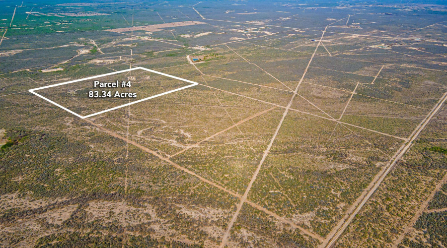 Parcel 4 ABST 209 J V Borrego, Zapata, Texas 00000, ,Land,For Sale,Parcel 4 ABST 209 J V Borrego,20261542