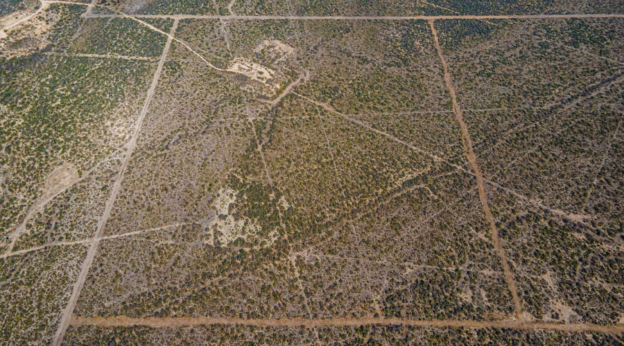 Parcel 4 ABST 209 J V Borrego, Zapata, Texas 00000, ,Land,For Sale,Parcel 4 ABST 209 J V Borrego,20261542