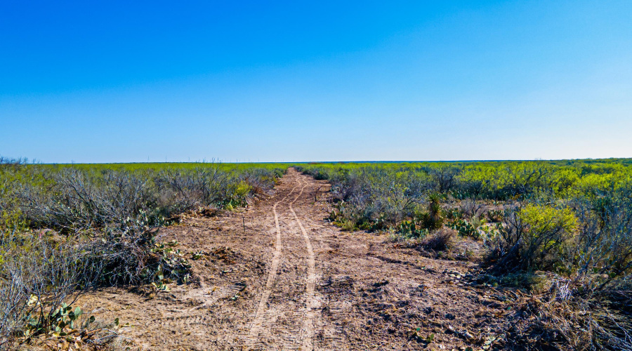 Parcel 4 ABST 209 J V Borrego, Zapata, Texas 00000, ,Land,For Sale,Parcel 4 ABST 209 J V Borrego,20261542