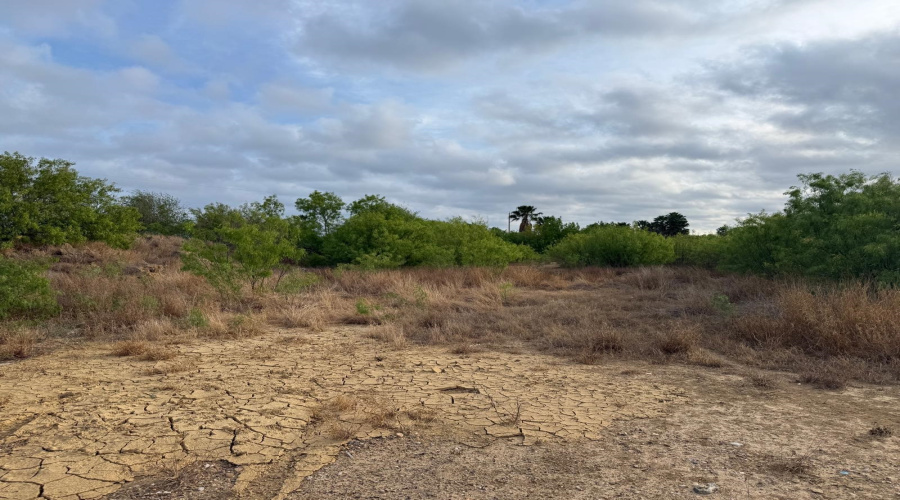 1120 Marshall St, Laredo, Texas 78045-7561, ,Land,For Sale,1120 Marshall St,20261563