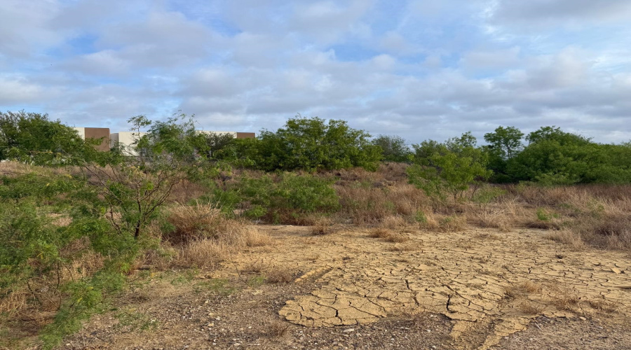 1120 Marshall St, Laredo, Texas 78045-7561, ,Land,For Sale,1120 Marshall St,20261563