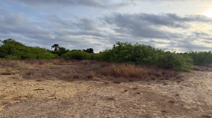 1120 Marshall St, Laredo, Texas 78045-7561, ,Land,For Sale,1120 Marshall St,20261563