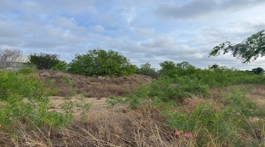 1120 Marshall St, Laredo, Texas 78045-7561, ,Land,For Sale,1120 Marshall St,20261563