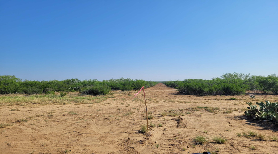 1000 U.S. Hwy 83, Laredo, Texas 78046, ,Land,For Rent,1000 U.S. Hwy 83,20261587