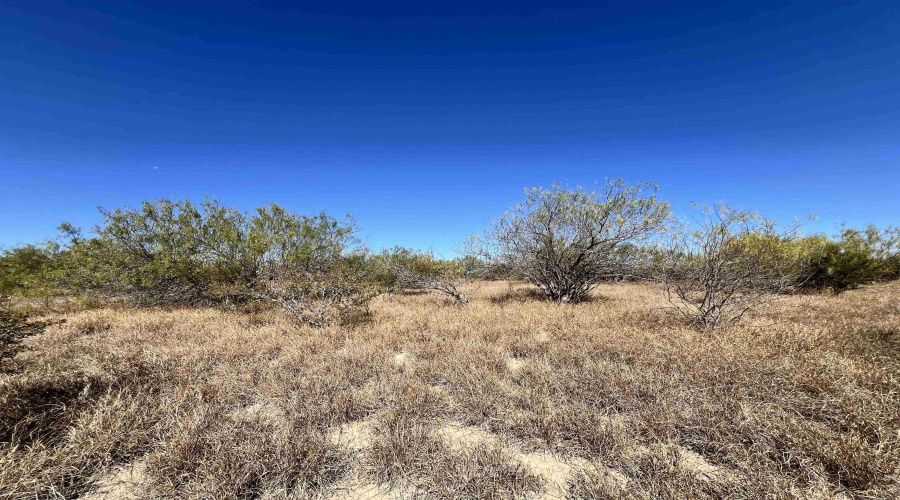 Alejandrenas Rd, Zapata, Texas 78076, ,Land,For Sale,Alejandrenas Rd,20261604