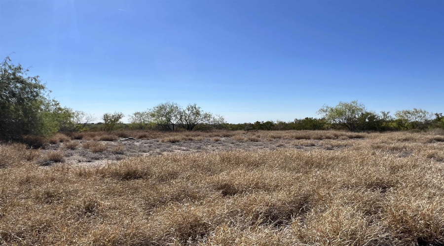 Alejandrenas Rd, Zapata, Texas 78076, ,Land,For Sale,Alejandrenas Rd,20261604