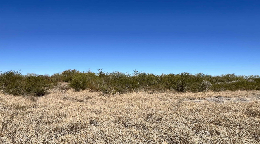 Alejandrenas Rd, Zapata, Texas 78076, ,Land,For Sale,Alejandrenas Rd,20261604