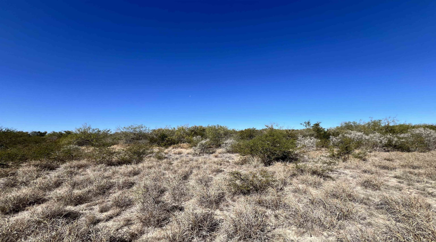 Alejandrenas Rd, Zapata, Texas 78076, ,Land,For Sale,Alejandrenas Rd,20261604