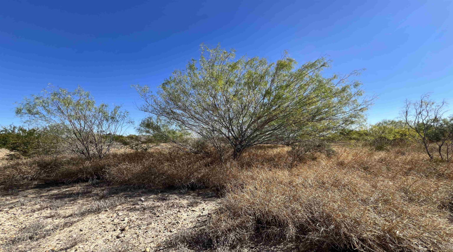 Alejandrenas Rd, Zapata, Texas 78076, ,Land,For Sale,Alejandrenas Rd,20261604