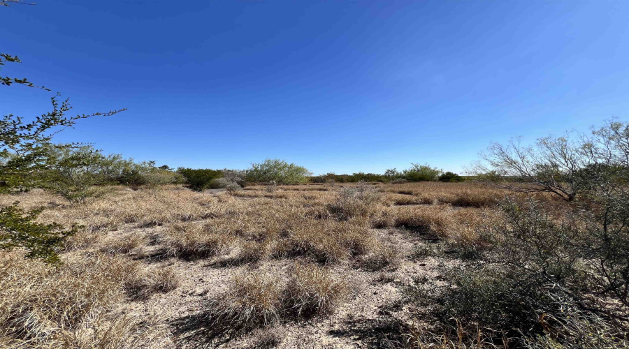 Alejandrenas Rd, Zapata, Texas 78076, ,Land,For Sale,Alejandrenas Rd,20261604