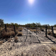 Alejandrenas Rd, Zapata, Texas 78076, ,Land,For Sale,Alejandrenas Rd,20261604