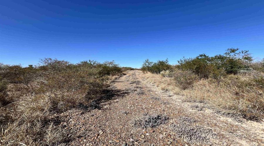 Alejandrenas Rd, Zapata, Texas 78076, ,Land,For Sale,Alejandrenas Rd,20261604