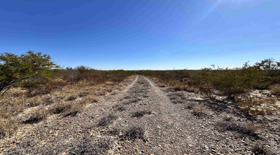 Alejandrenas Rd, Zapata, Texas 78076, ,Land,For Sale,Alejandrenas Rd,20261604