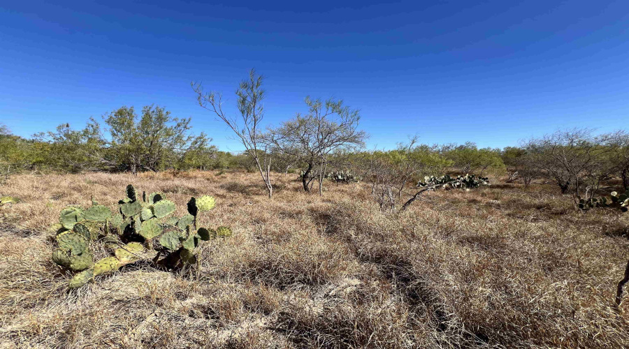 Alejandrenas Rd, Zapata, Texas 78076, ,Land,For Sale,Alejandrenas Rd,20261604