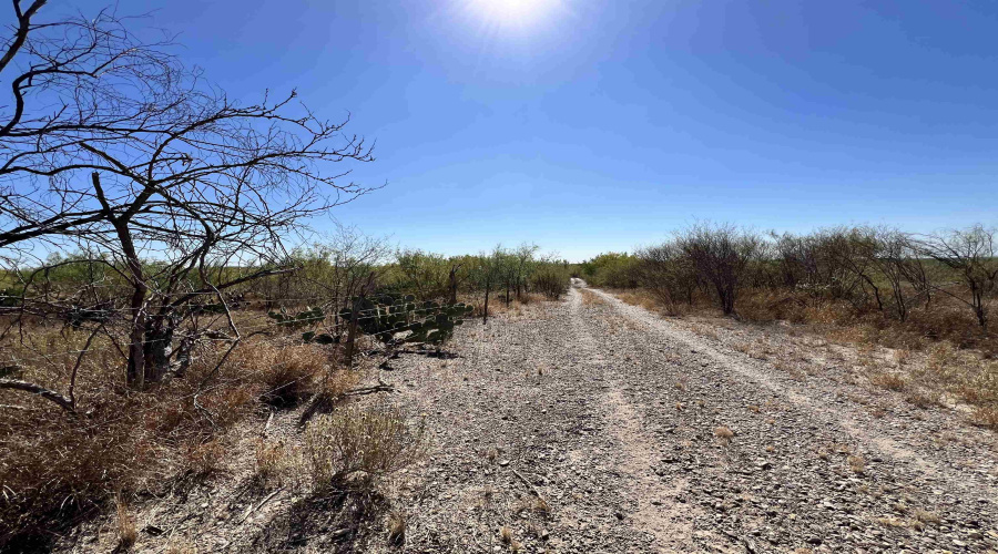 Alejandrenas Rd, Zapata, Texas 78076, ,Land,For Sale,Alejandrenas Rd,20261604