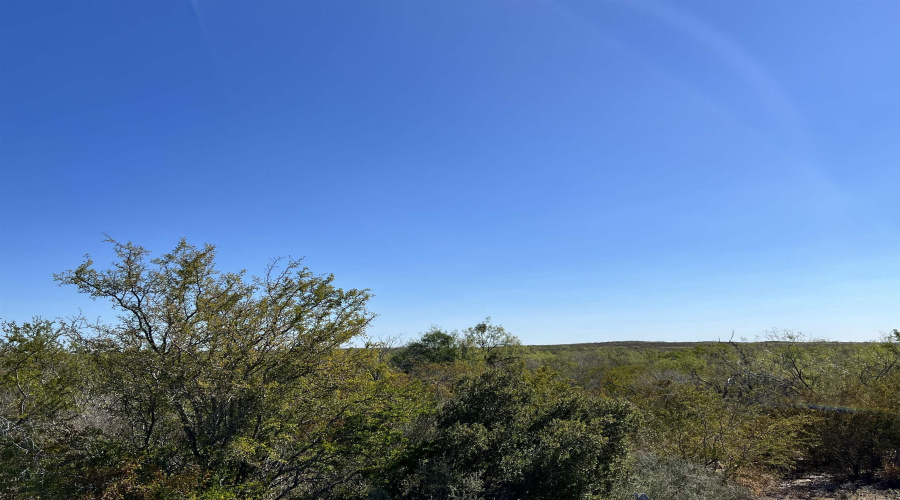 Alejandrenas Rd, Zapata, Texas 78076, ,Land,For Sale,Alejandrenas Rd,20261604