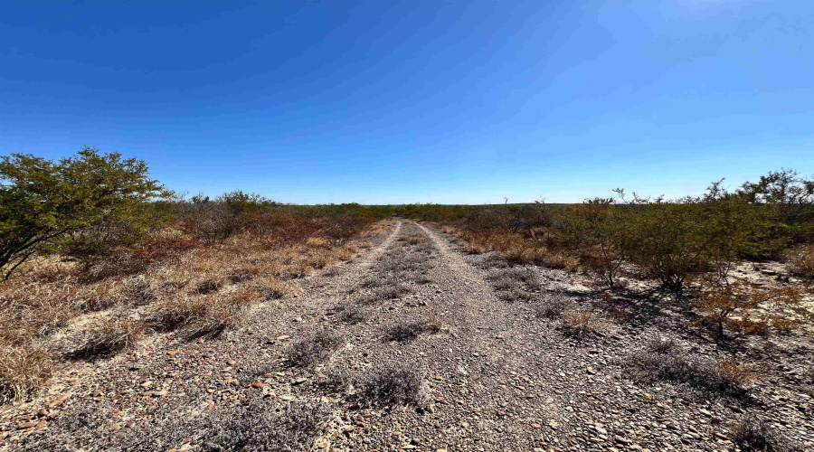 Alejandrenas Rd, Zapata, Texas 78076, ,Land,For Sale,Alejandrenas Rd,20261604
