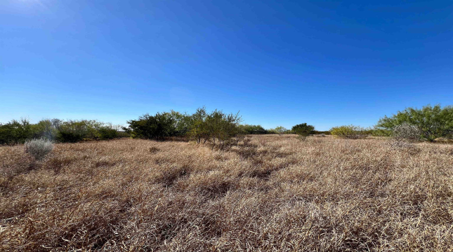 Alejandrenas Rd, Zapata, Texas 78076, ,Land,For Sale,Alejandrenas Rd,20261604