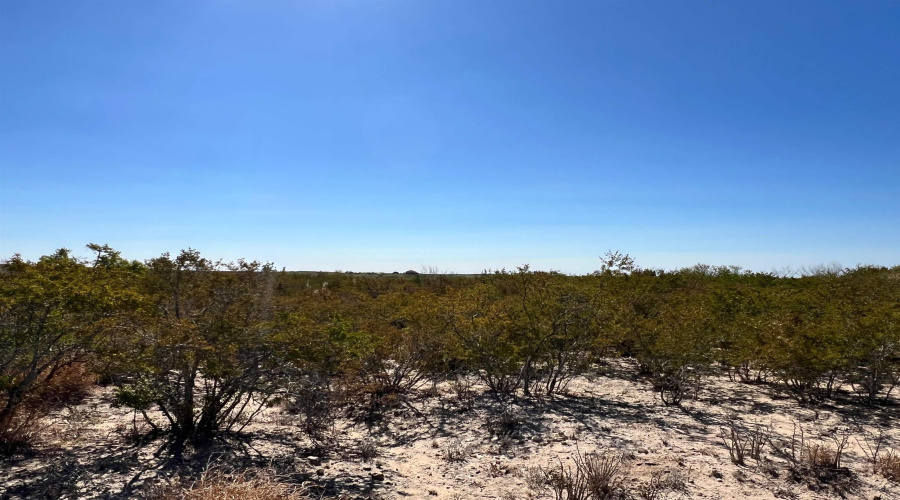 Alejandrenas Rd, Zapata, Texas 78076, ,Land,For Sale,Alejandrenas Rd,20261604