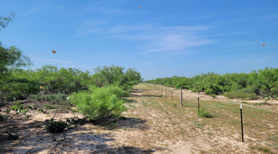 1003 U.S. Hwy 359, Aguilares, Texas 78369, ,Land,For Sale,1003 U.S. Hwy 359,20261616