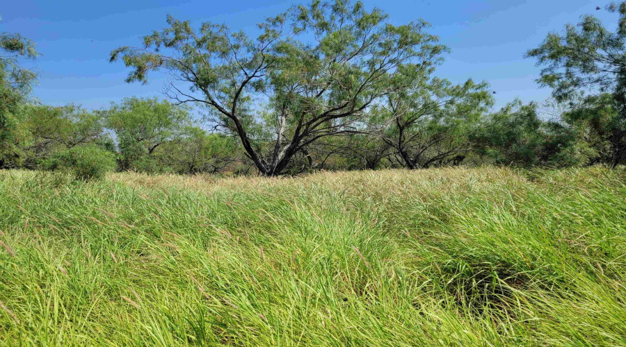 1003 U.S. Hwy 359, Aguilares, Texas 78369, ,Land,For Sale,1003 U.S. Hwy 359,20261616