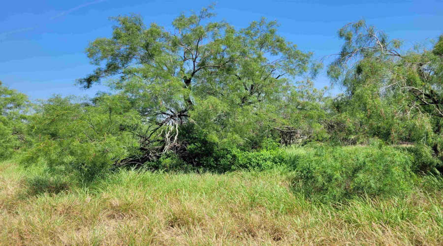 1003 U.S. Hwy 359, Aguilares, Texas 78369, ,Land,For Sale,1003 U.S. Hwy 359,20261616