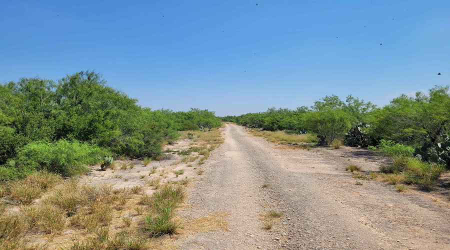 1003 U.S. Hwy 359, Aguilares, Texas 78369, ,Land,For Sale,1003 U.S. Hwy 359,20261616