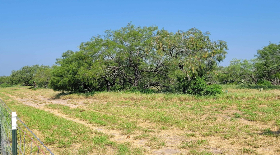 1003 U.S. Hwy 359, Aguilares, Texas 78369, ,Land,For Sale,1003 U.S. Hwy 359,20261616