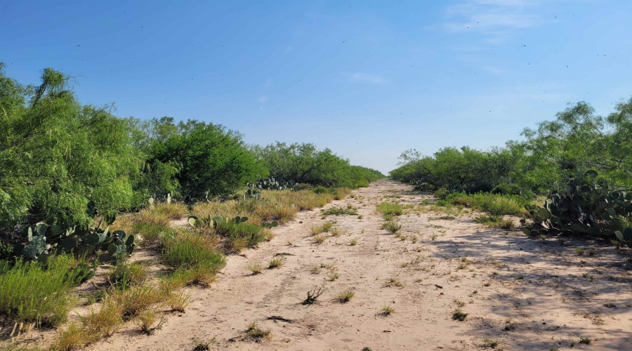 1003 U.S. Hwy 359, Aguilares, Texas 78369, ,Land,For Sale,1003 U.S. Hwy 359,20261616