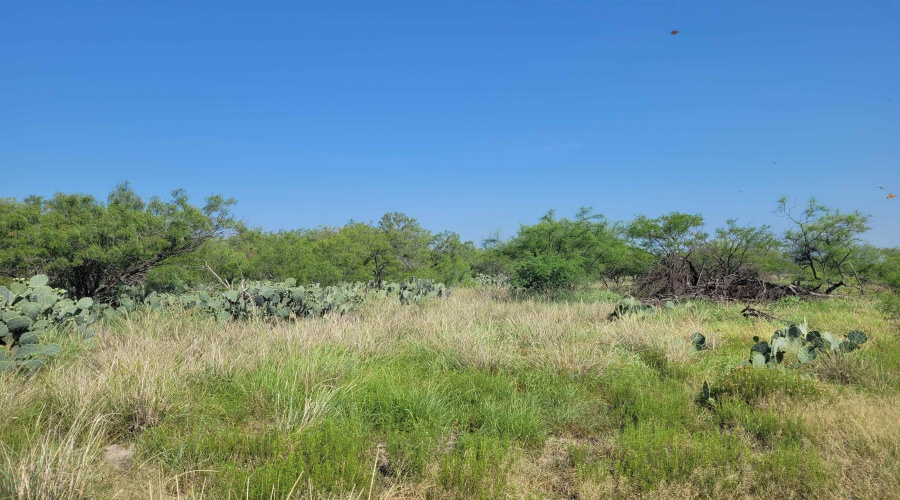 1003 U.S. Hwy 359, Aguilares, Texas 78369, ,Land,For Sale,1003 U.S. Hwy 359,20261616