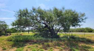 1002 U.S. Hwy 359, Aguilares, Texas 78369, ,Land,For Sale,1002 U.S. Hwy 359,20261617