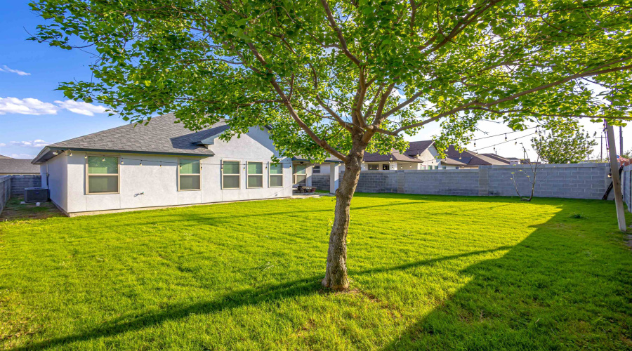 514 Prado Dr, Laredo, Texas 78045, 3 Bedrooms Bedrooms, 6 Rooms Rooms,2 BathroomsBathrooms,Residential,For Rent,514 Prado Dr,20261708