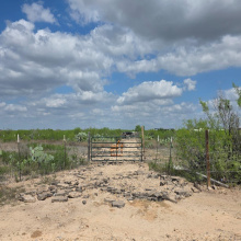 000 LAS LOMAS RD., LAREDO, Texas 78043, ,Land,For Sale,000 LAS LOMAS RD.,20261727