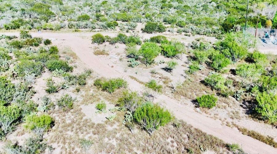 E Paredes, Laredo, Texas 78043, ,Land,For Sale,E Paredes,20261737